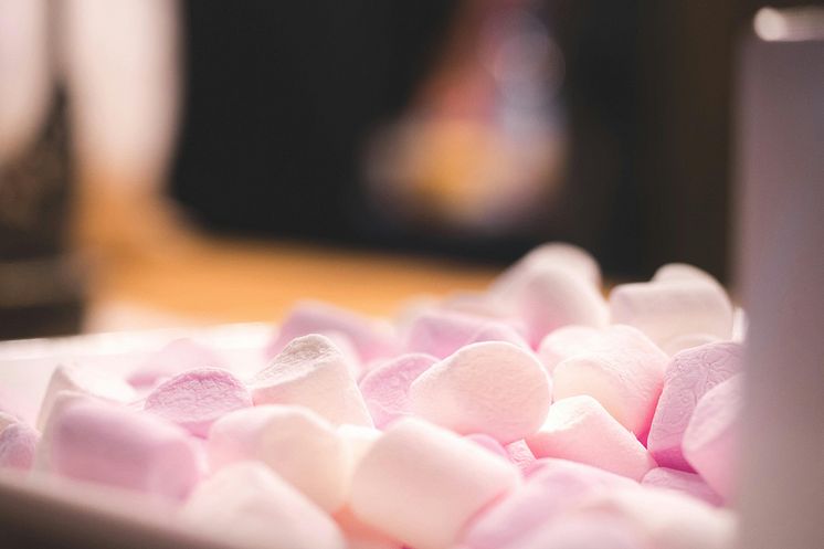 pexels-bohlemedia-1114429.jpg