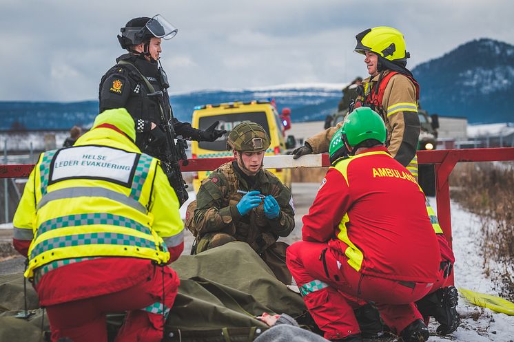 Ole-Sverre Haugli, Forsvaret.jpg