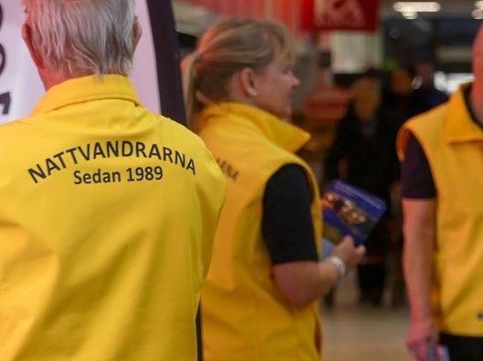 Nattvandrare.jpg