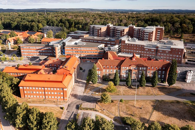 hstdsjukhus01.jpg