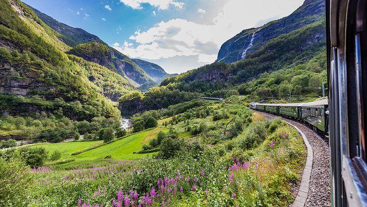 iStock-1169835188.jpg