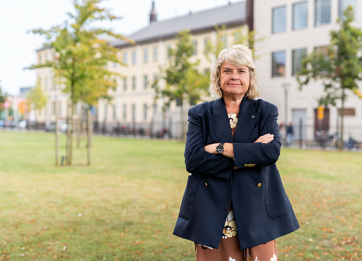 Birte 2.png