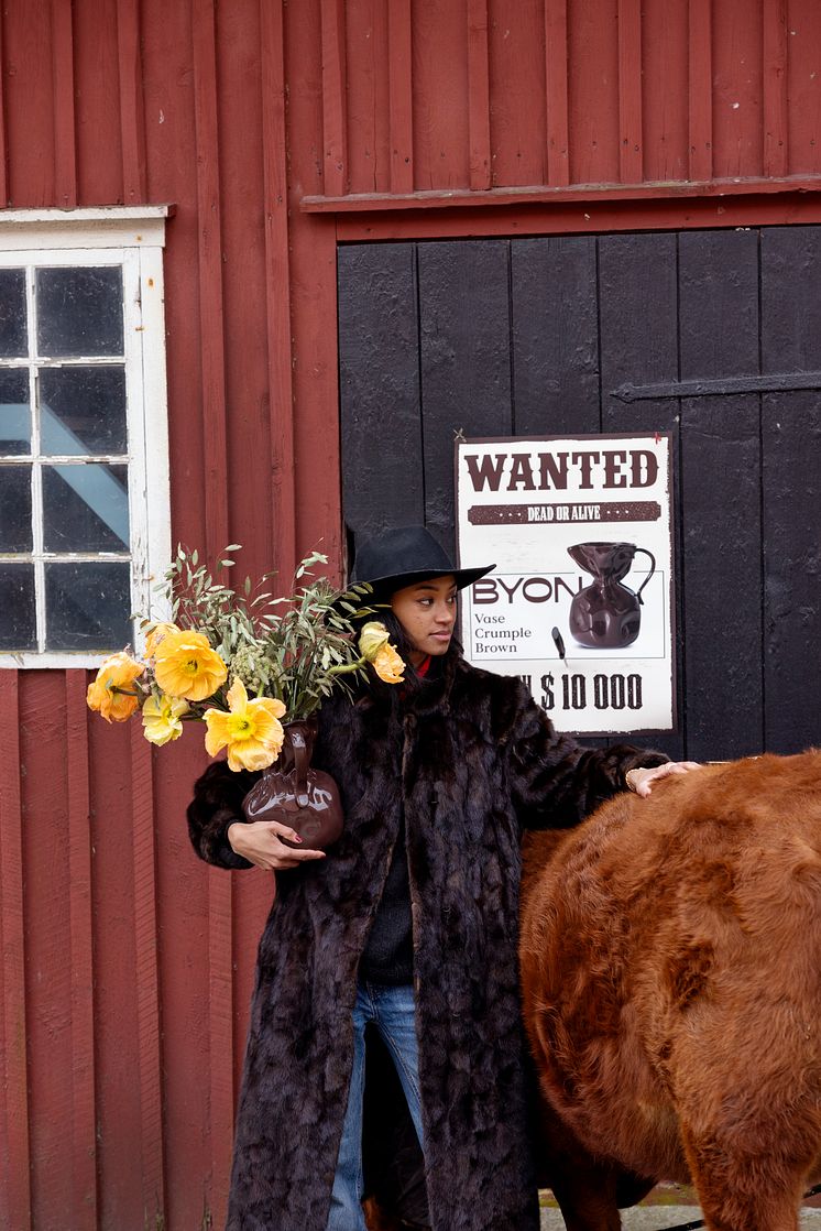 Byon AW25