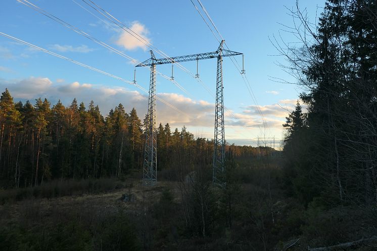 P1000793.JPG