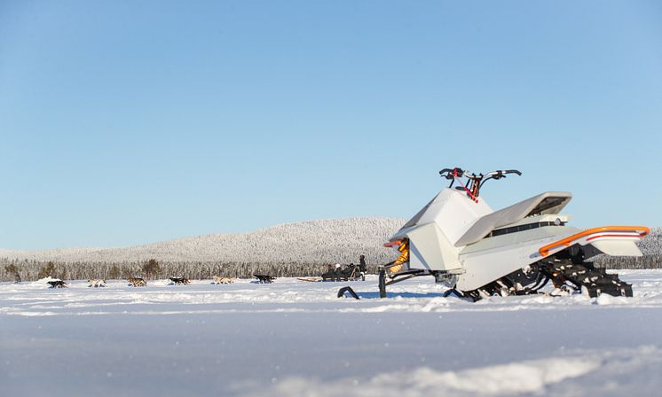 Vidde with dog sleigh in background.jpg