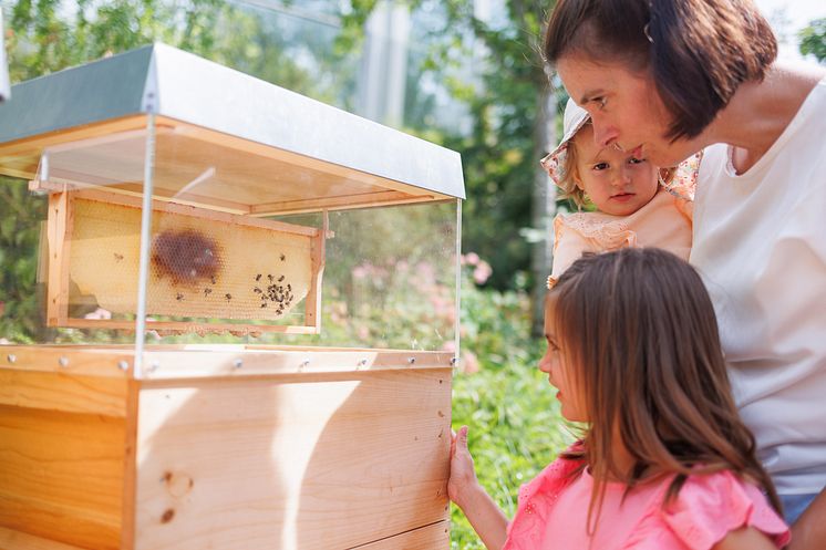 Bienen-Erlebnispfad im PLAYMOBIL-FunPark