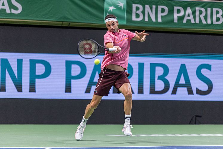 Grigor Dimitrov till kvartsfinal.jpg