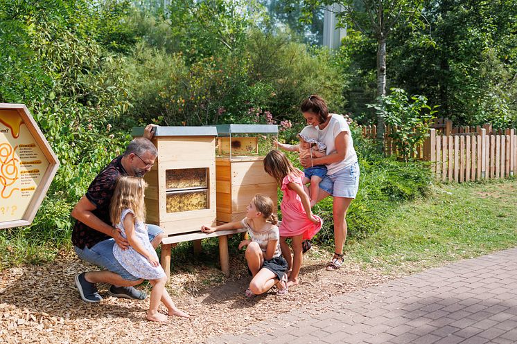 Bienen-Erlebnispfad im PLAYMOBIL-FunPark
