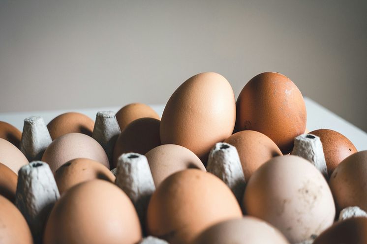 Ägg Unsplash.jpg