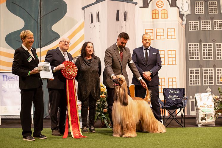 Best In Show Foto Jenny Jurnelius.jpg