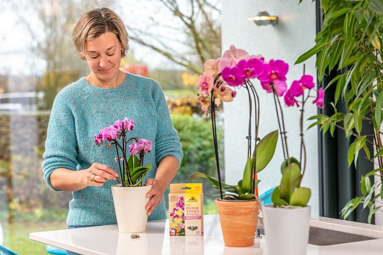 Azet DüngeSticks-Orchideen_25-02.jpg