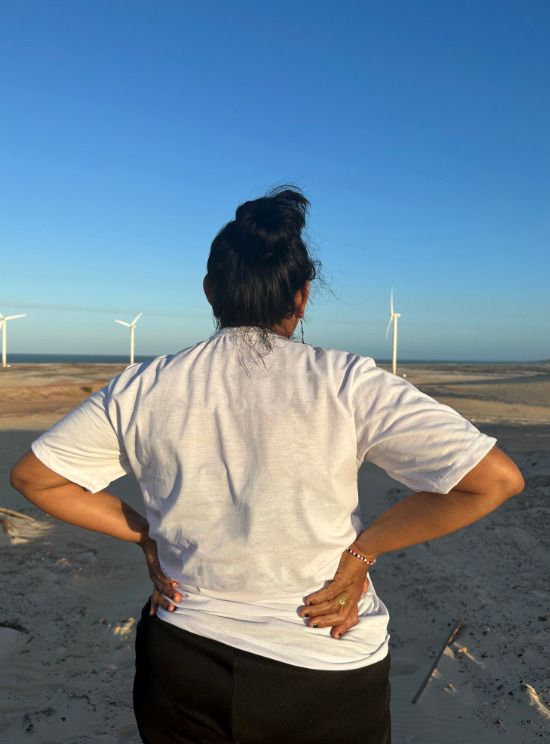 Renewables and Reprisals 2025.Bons Ventos, Brazil