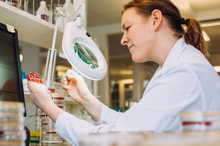 BrandMarketing_20171211_Environment_LabTechnician_PetriDish_Sweden_Stockholm_1.jpg