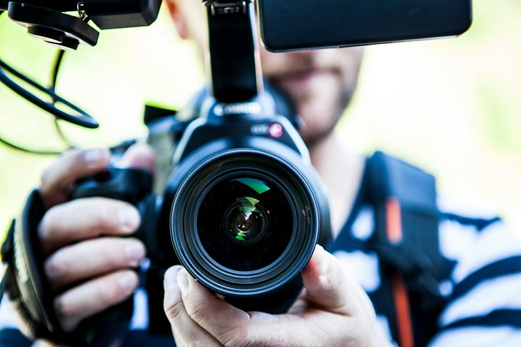 pexels-solliefoto-320617.jpg