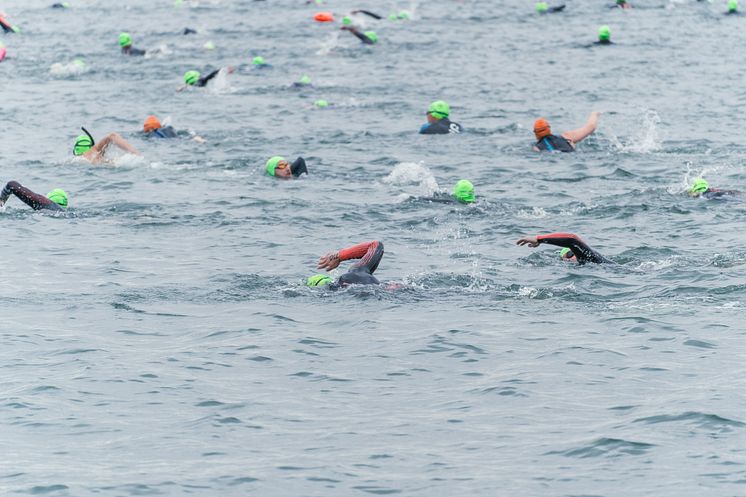 Lighthouseswim 2024 (c) Anika Bruns, Kiel-Marketing e.V..jpg