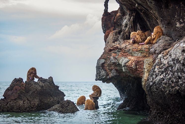 Tori Wrånes, NAAM YAI. Foto: Thailands biennales fotografer. 