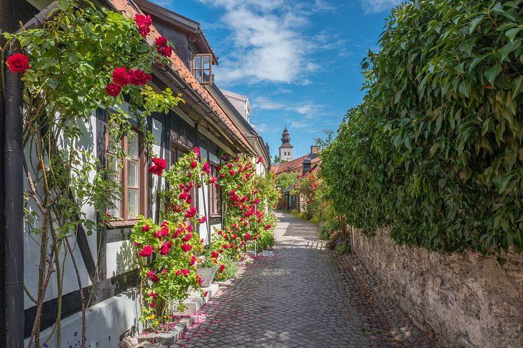 Visby_25.jpg