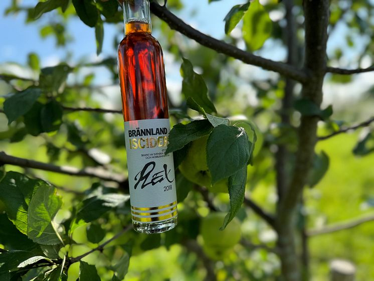 Brännland Iscider Plex 2018_bild.jpg