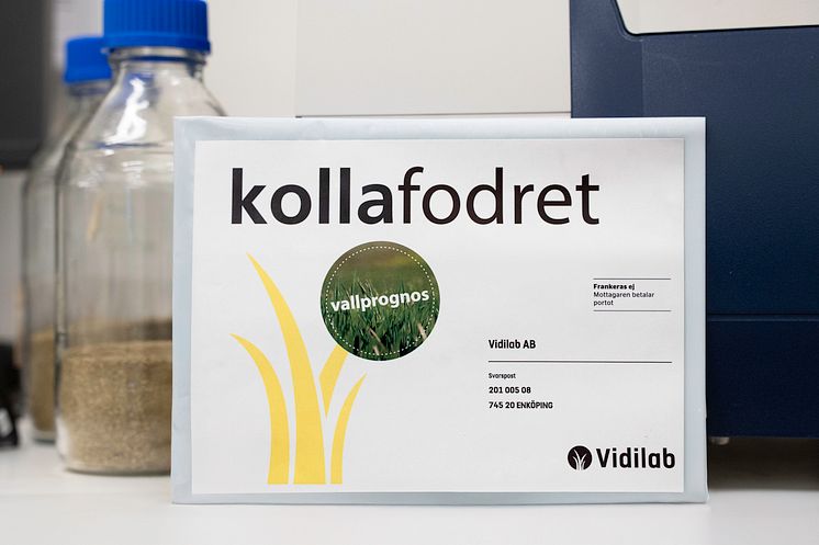 Vallprognos