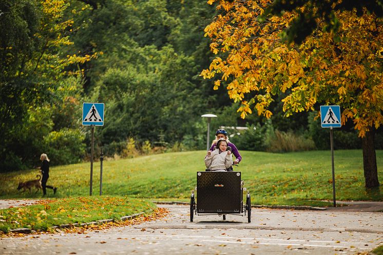 Bräcke park_parcykling.jpg