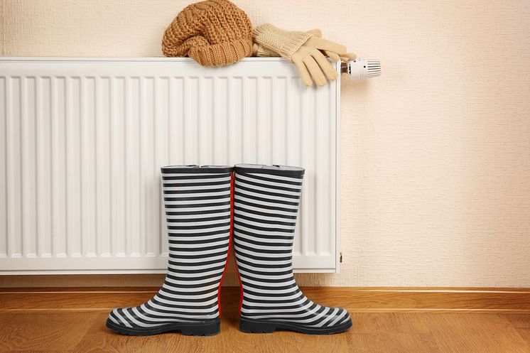shutterstock_531860683.jpg