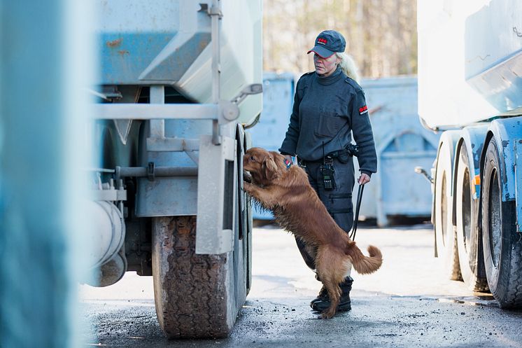 Sökhund och förare.jpg