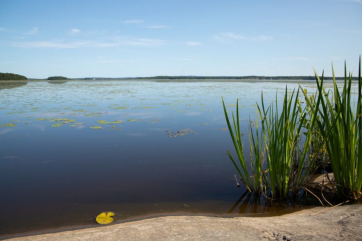Ölmeviken - original (1382352).jpg