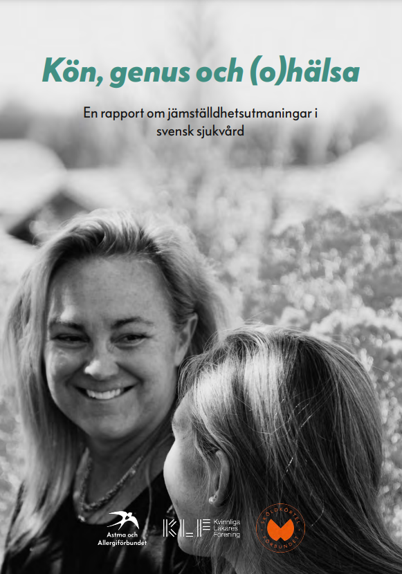 Skärmbild 2025-03-10 090715.png