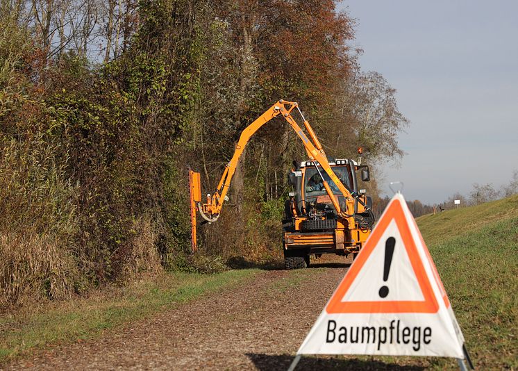 20240925_Gehölzpflege