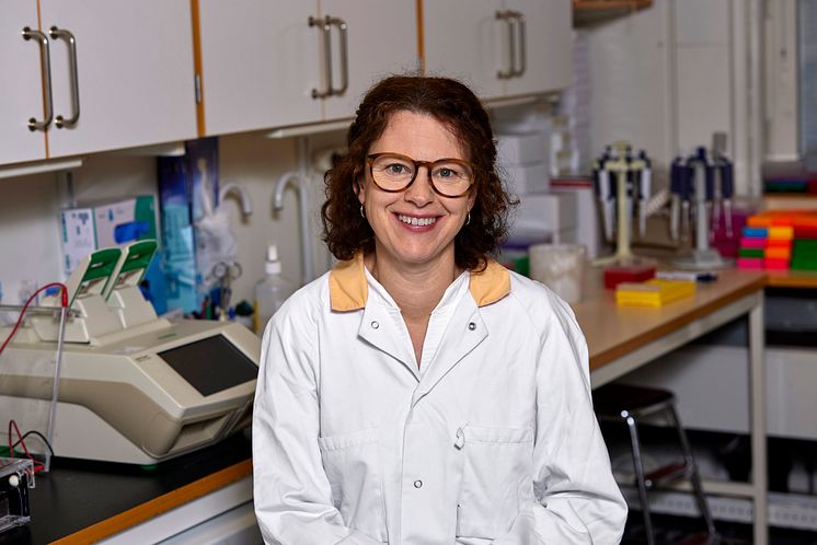 Professor Åsa Tivesten.jpg