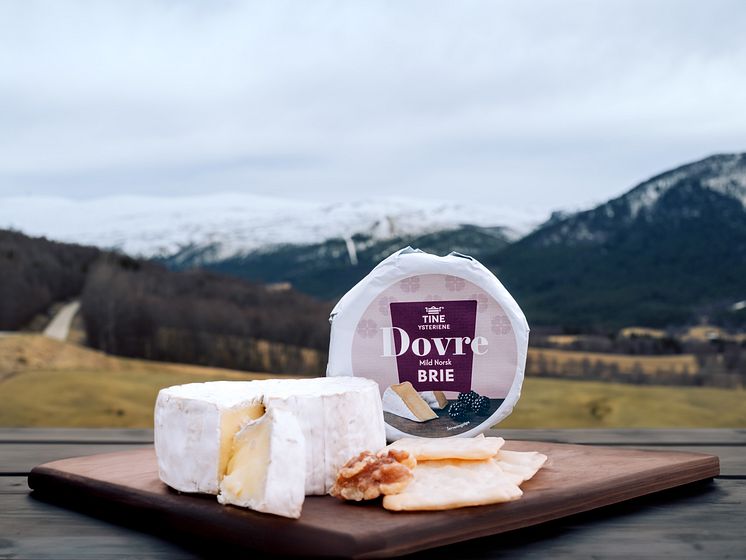 Dovre Norsk Brie foran fjell.jpg
