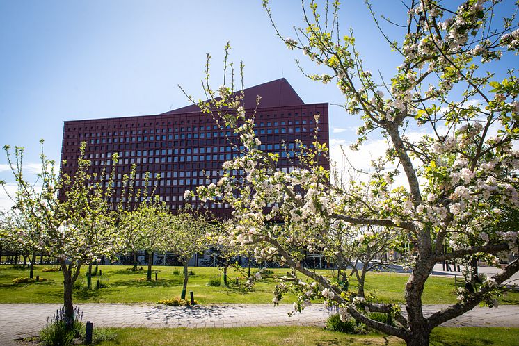 Studenthuset-20190519-5479.jpg