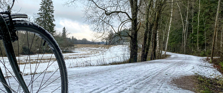 Winter bike day.png