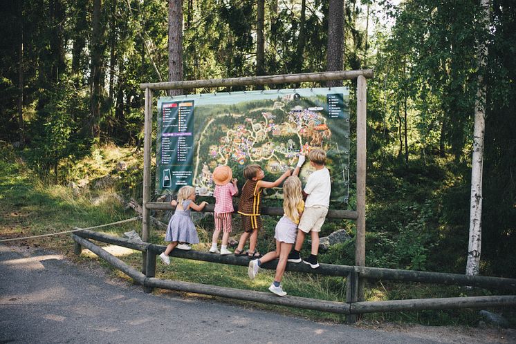 Kolmården sommar.jpg