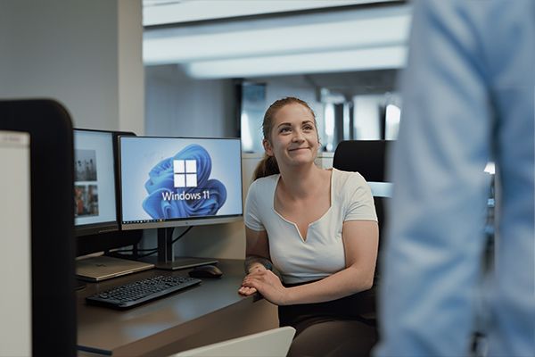 windows111.jpg