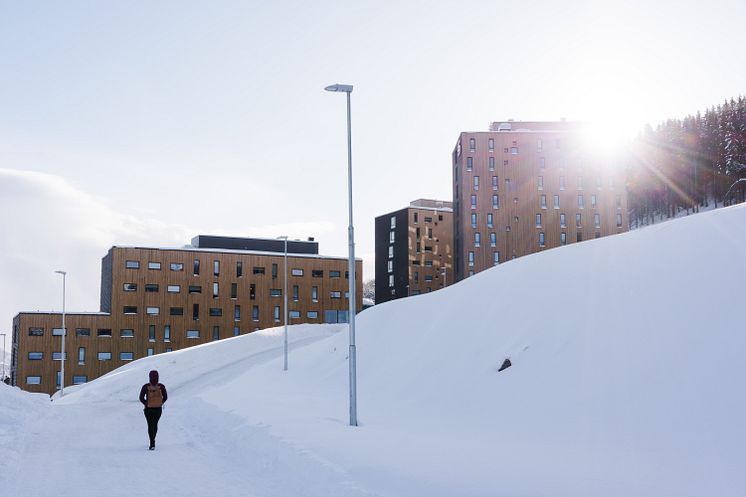 Dramsvegen Panorama studentboliger