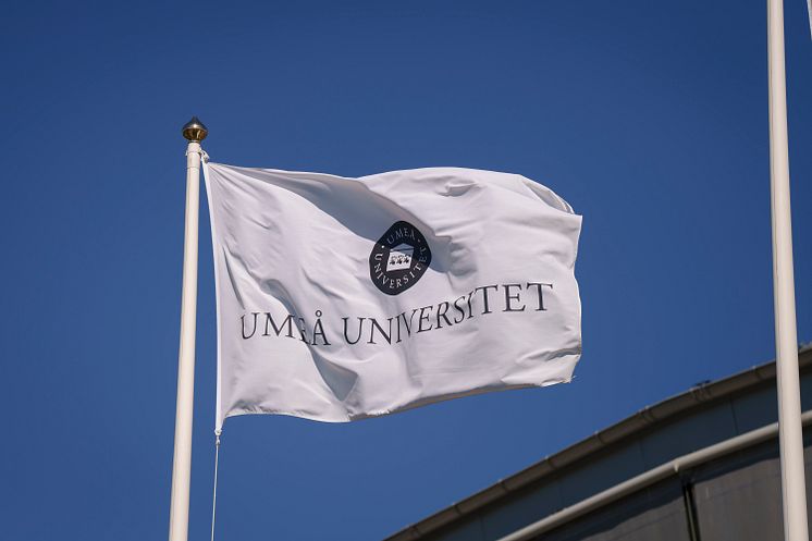 Flagga Umeå universitet - Campus Umeå