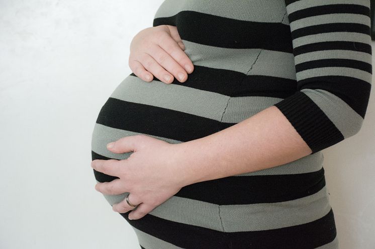 Gravid mage 2 - original (364460).jpg