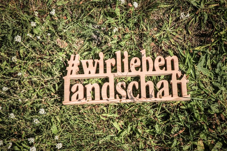 20240629_bigday_energieholztag-70.jpg