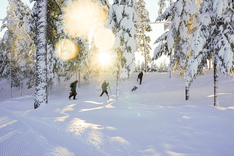 Dalarna-Vinter-Sportlov.jpg