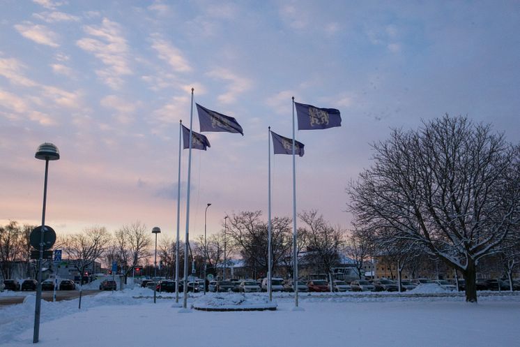 Snö på Östra kommunhuset 13.jpg