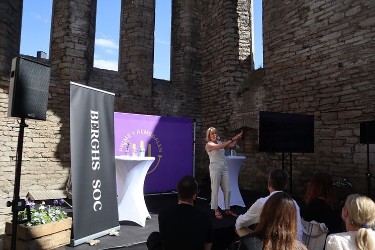 Almedalen24.JPG