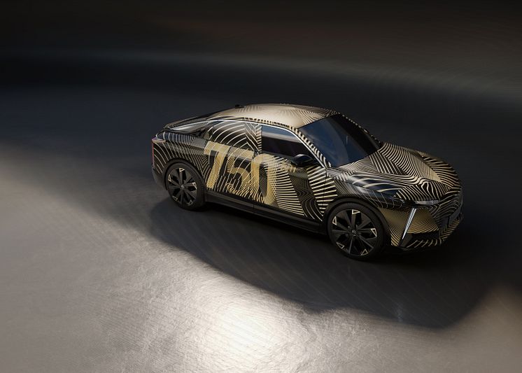 ds_new_model_camo0-673ef645c17c1.jpg