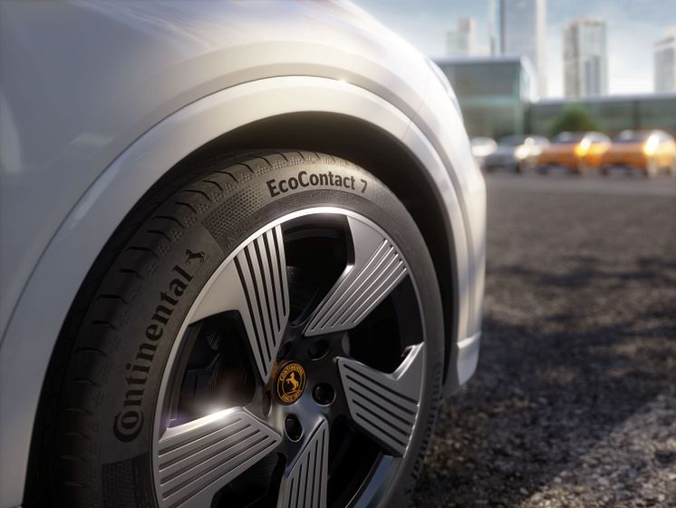 continental_pp_ec7.jpg