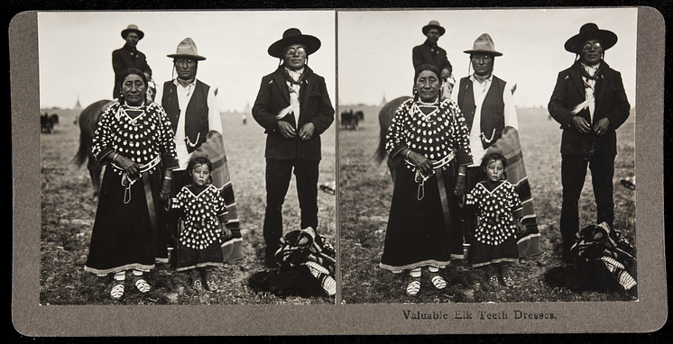 Elk tooth dress