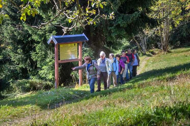 Wanderung_Wanderwochen_Gruppe_Oberwiesenthal Foto_TVE_UweMeinhold07.jpg