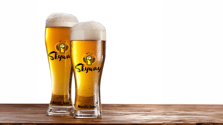 skyway_heineken_1000px.png