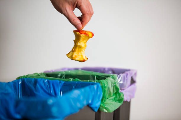 istockphoto-1186064029-612x612.jpg