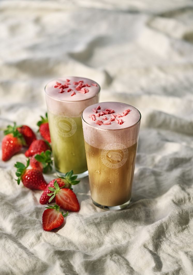 HIGHRES_SUMMER_LTO_COLD_FOAM.jpg
