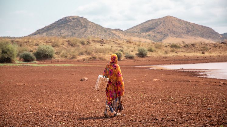 Oxfam InuruID 375589 Kenya 2024-09-15.jpeg